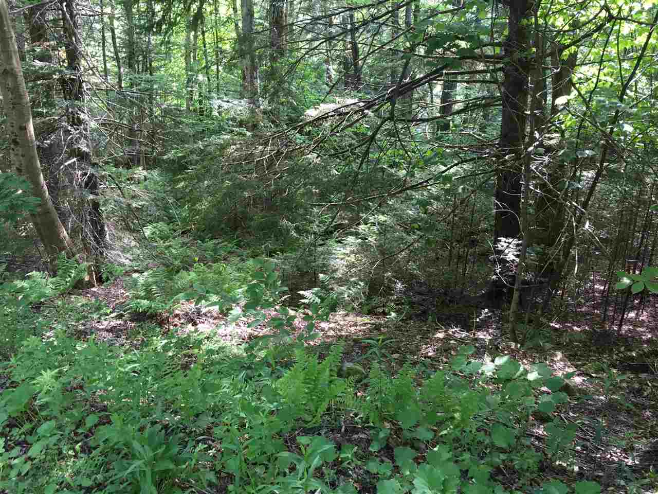 21 South Ryder Pond Road Whitingham, VT 05342 - Photo 4 of 6