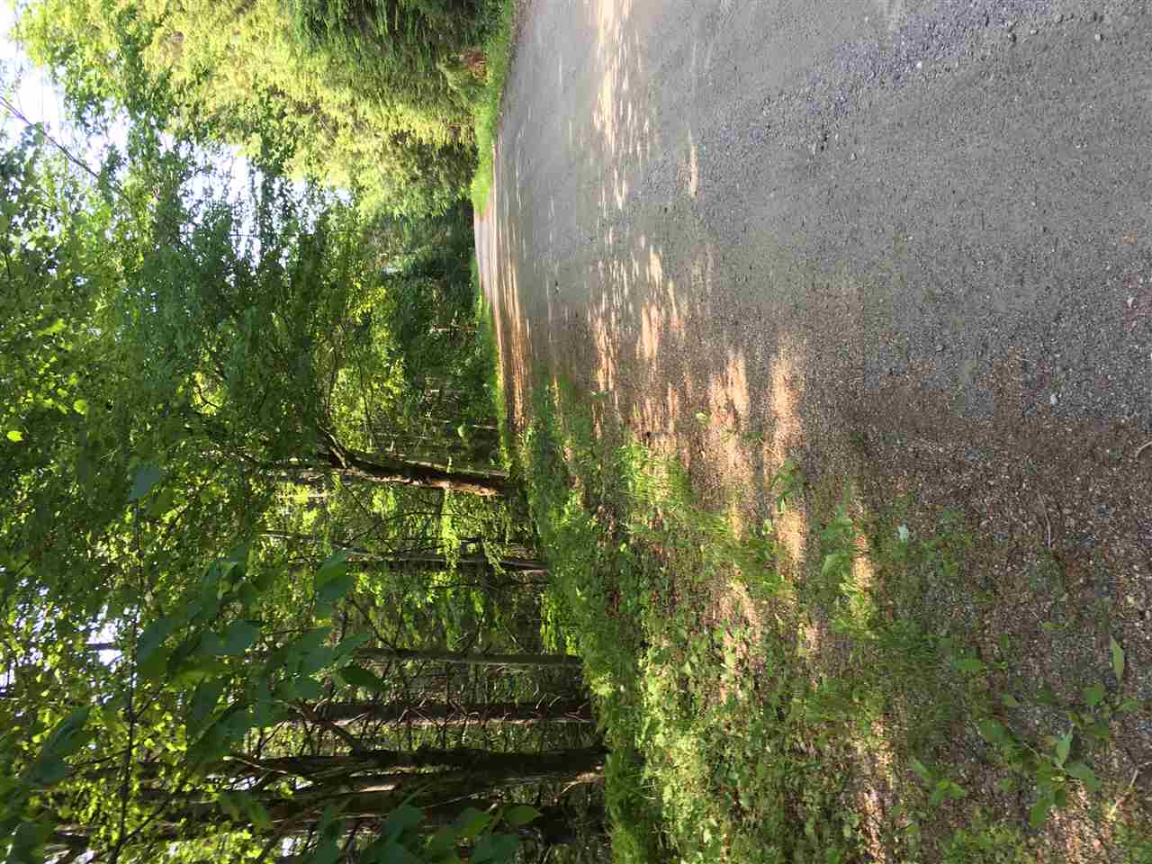 21 South Ryder Pond Road Whitingham, VT 05342 - Photo 5 of 6