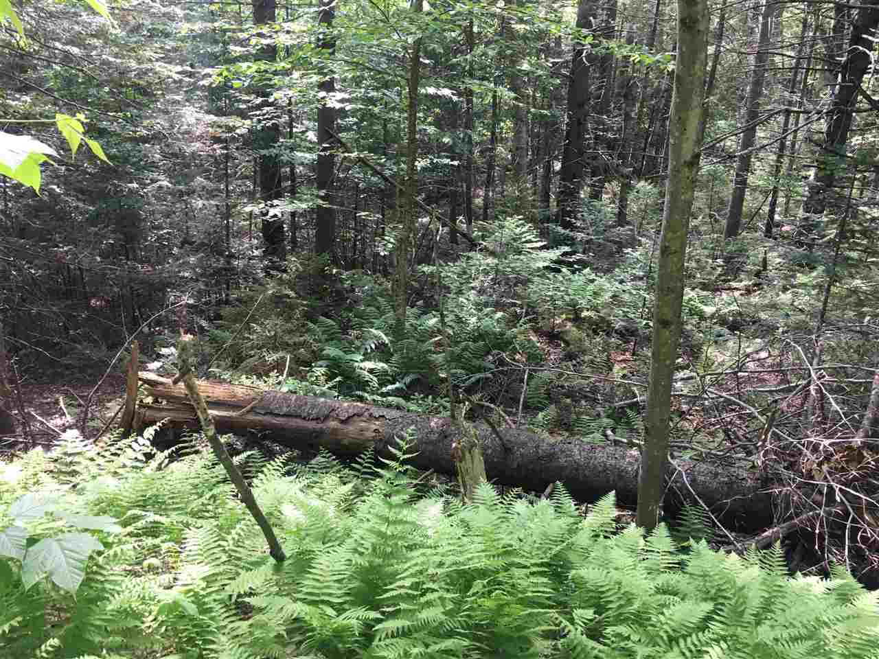 21 South Ryder Pond Road Whitingham, VT 05342 - Photo 6 of 6