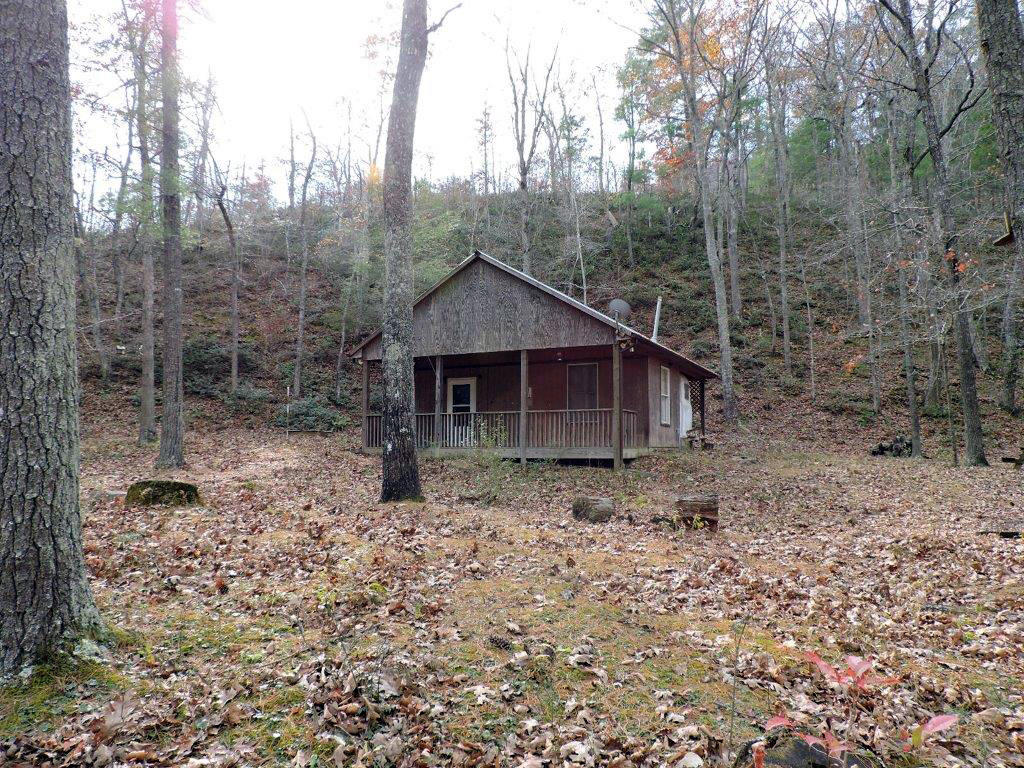 400 Miller Cove Road Catawba, VA 24070 - Photo 19 of 26 Laurel Covered Hillside
