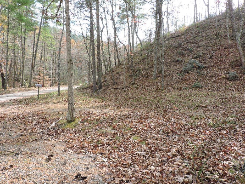 400 Miller Cove Road Catawba, VA 24070 - Photo 21 of 26 Space