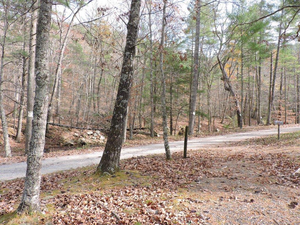 400 Miller Cove Road Catawba, VA 24070 - Photo 22 of 26 Swinging Bridge