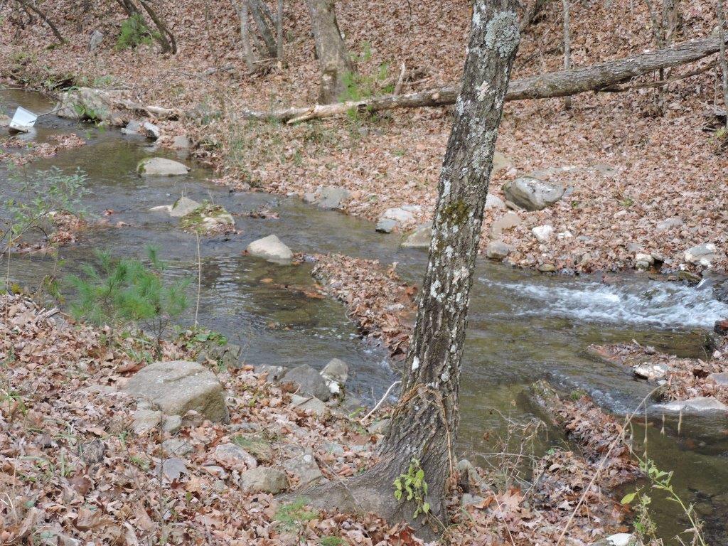 400 Miller Cove Road Catawba, VA 24070 - Photo 23 of 26 Trout Creek
