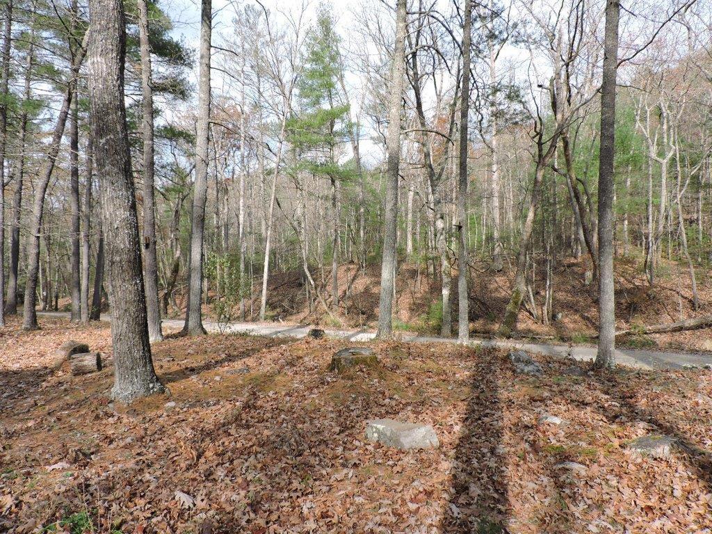 400 Miller Cove Road Catawba, VA 24070 - Photo 24 of 26 Two Parcels