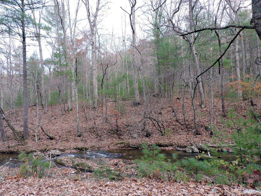 400 Miller Cove Road Catawba, VA 24070 - Photo 25 of 26 View from Porch