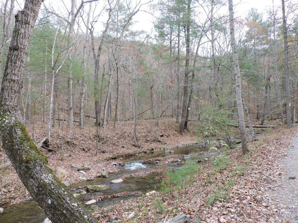 400 Miller Cove Road Catawba, VA 24070 - Photo 6 of 26 Creek