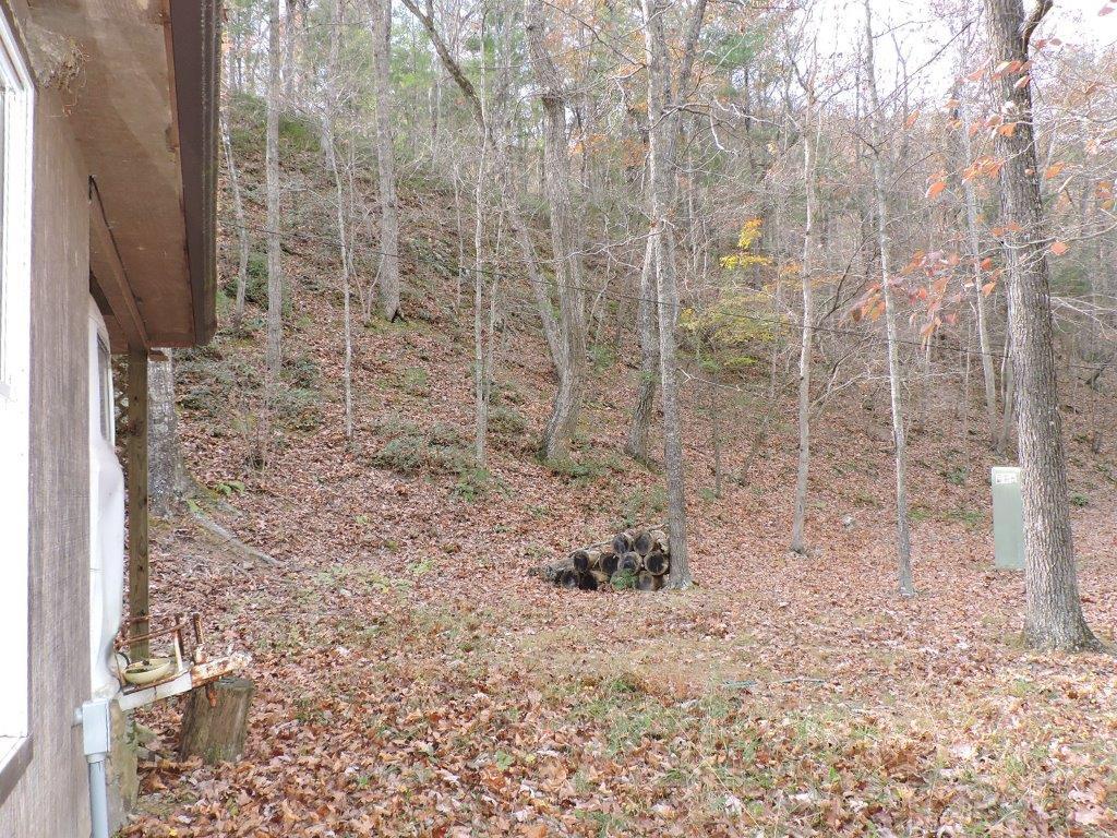 400 Miller Cove Road Catawba, VA 24070 - Photo 7 of 26 Firewood
