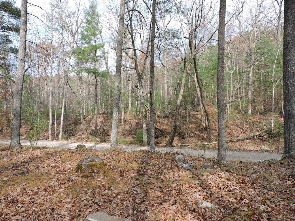 400 Miller Cove Road Catawba, VA 24070 - Photo 8 of 26 Forest