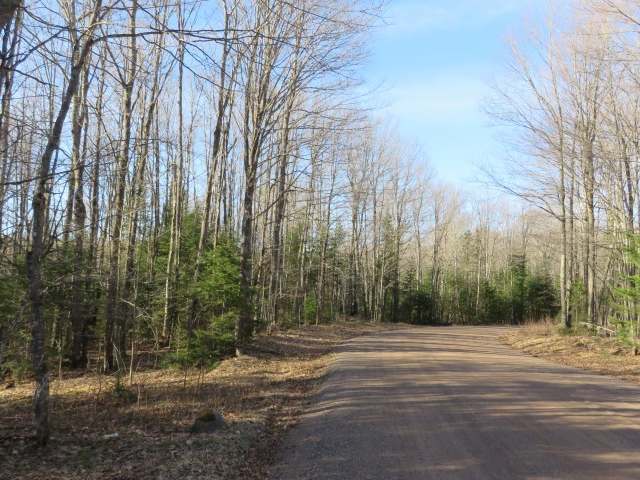 On Wildcat Road, Unit LOTS 3 4 9 Presque Isle, WI 54557 - Photo 2 of 10 Gallery Image 2