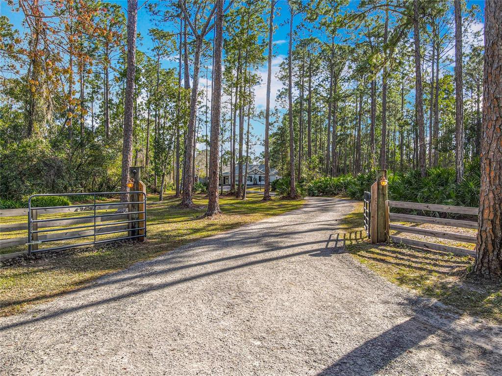 4252 Quail Ranch Road New Smyrna Beach, FL 32168 - Photo 28 of 77 view from street