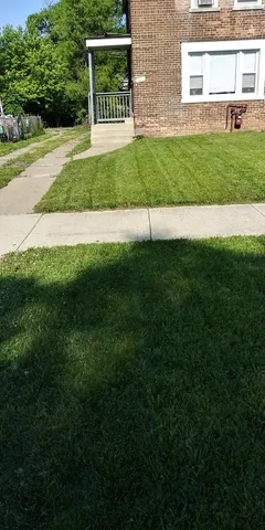a view of a backyard with a garden and plants