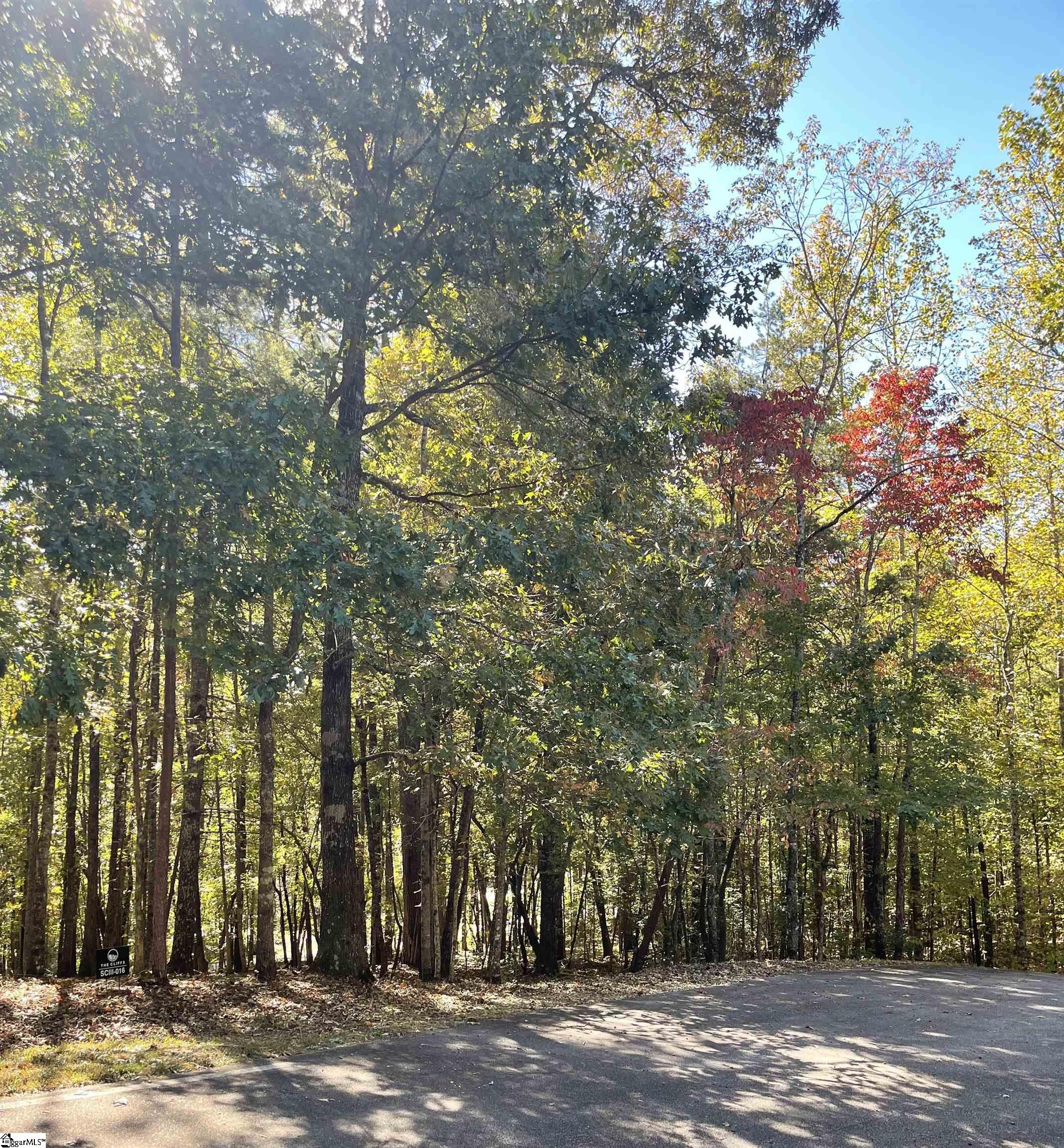 221 Ridge Haven Trail Travelers Rest, SC 29690 - Photo 1 of 5 Gallery Image 1