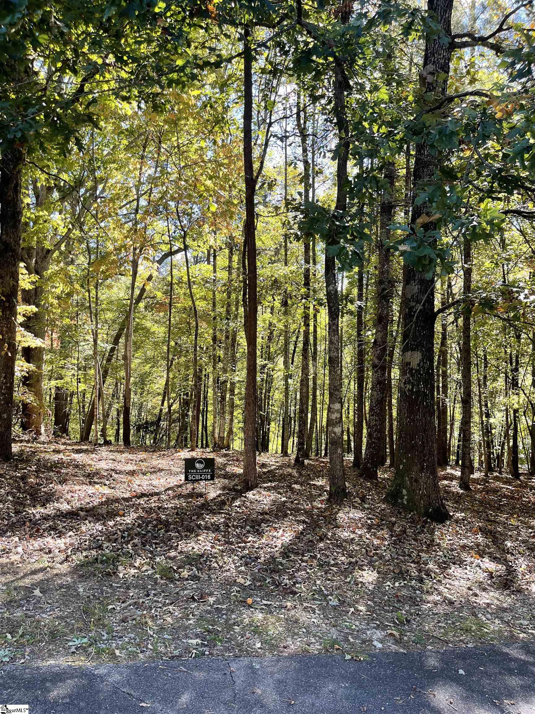 221 Ridge Haven Trail Travelers Rest, SC 29690 - Photo 2 of 5 Gallery Image 2