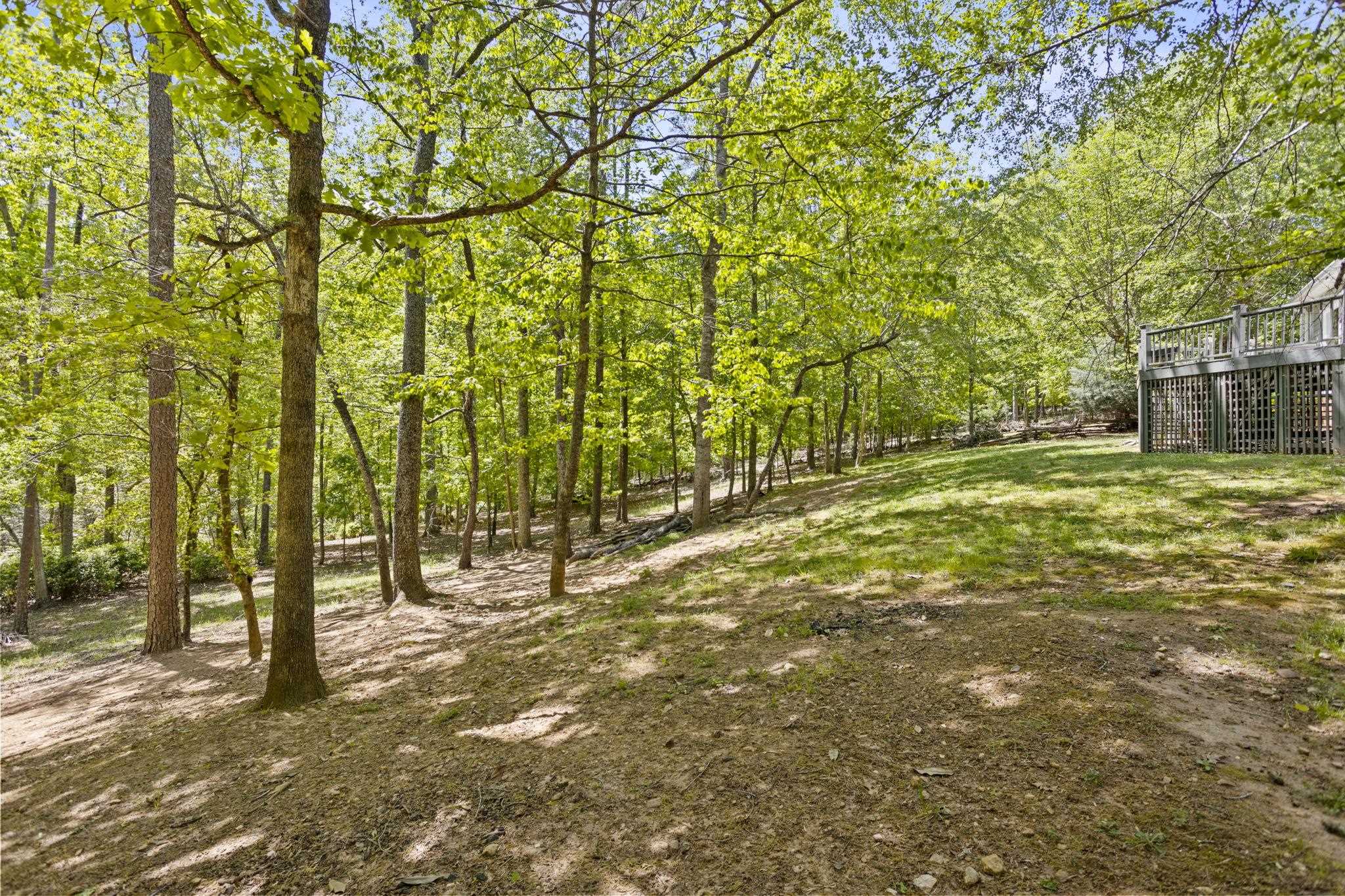 2222 Landrum Mill Road Campobello, SC 29322 - Photo 36 of 45