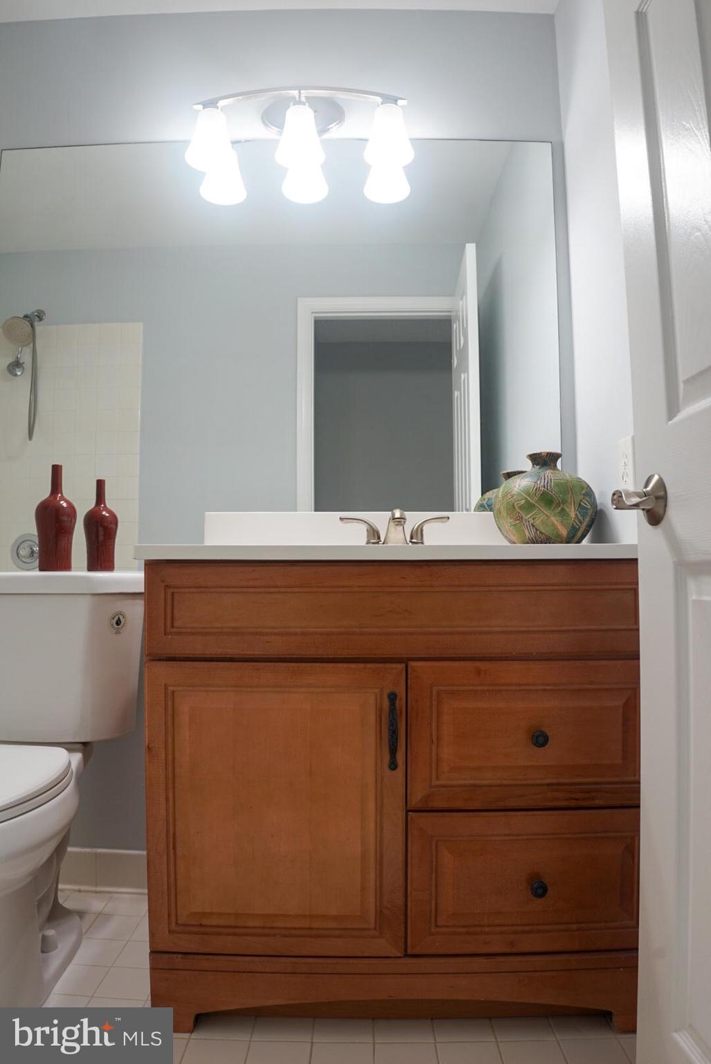 2816 Emma Lee Street, Unit 301 Falls Church, VA 22042 - Photo 27 of 45 a bathroom with a sink and a mirror