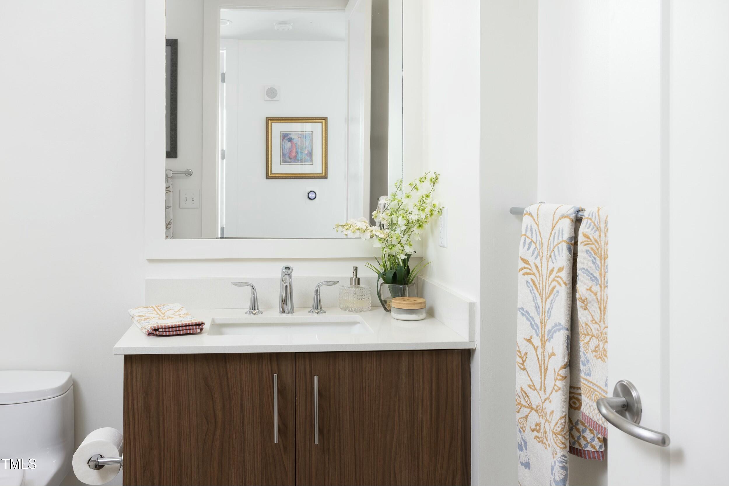 110 Corcoran Street, Unit 2502 Durham, NC 27701 - Photo 45 of 87 a bathroom with a sink vanity and a mirror