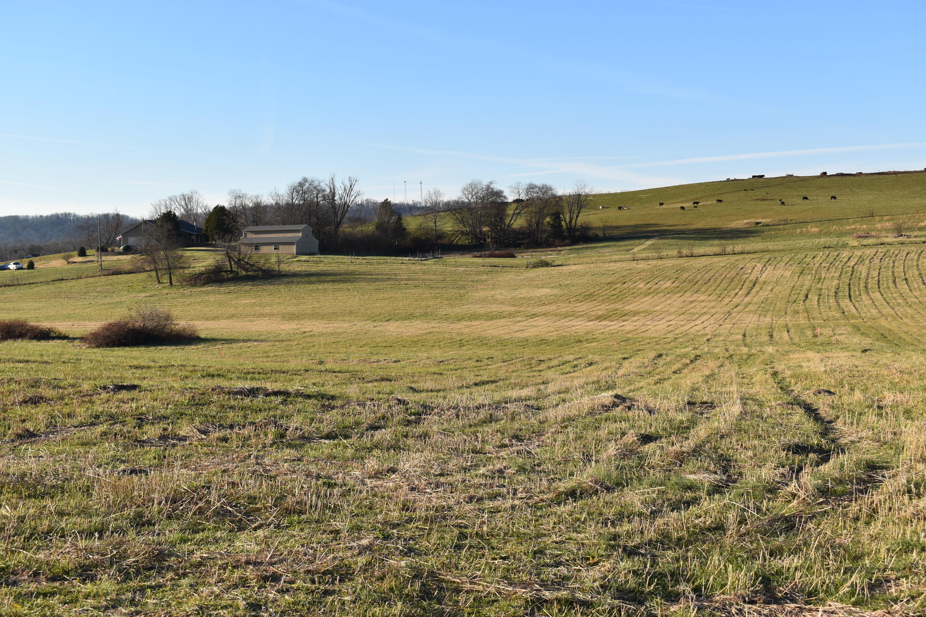 Lot 5 McCleary Road Sevierville, TN 37876 - Photo 3 of 3 DSC_0011