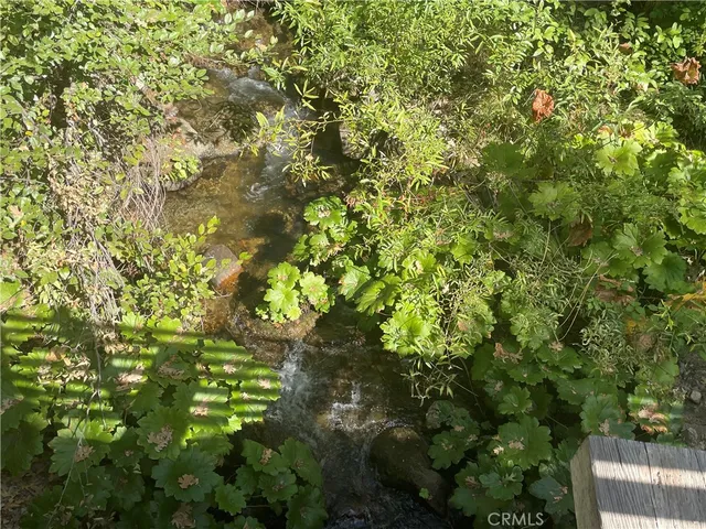 a close up of a tree