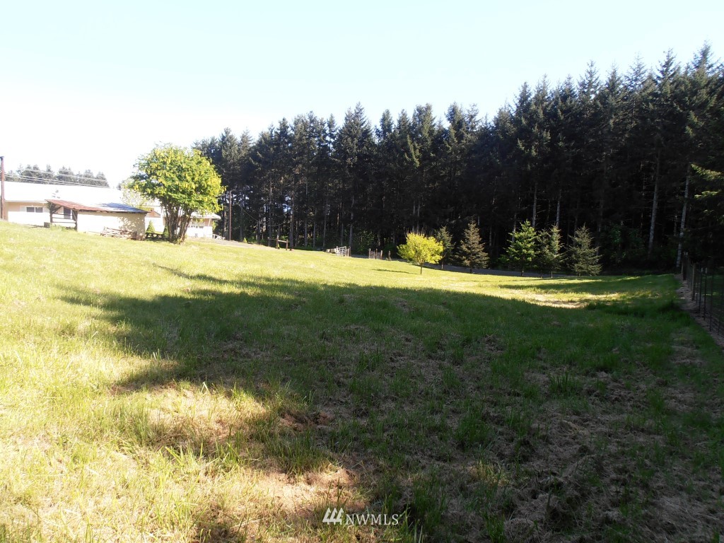 218 Hemenway Road Winlock, WA 98596 - Photo 6 of 23