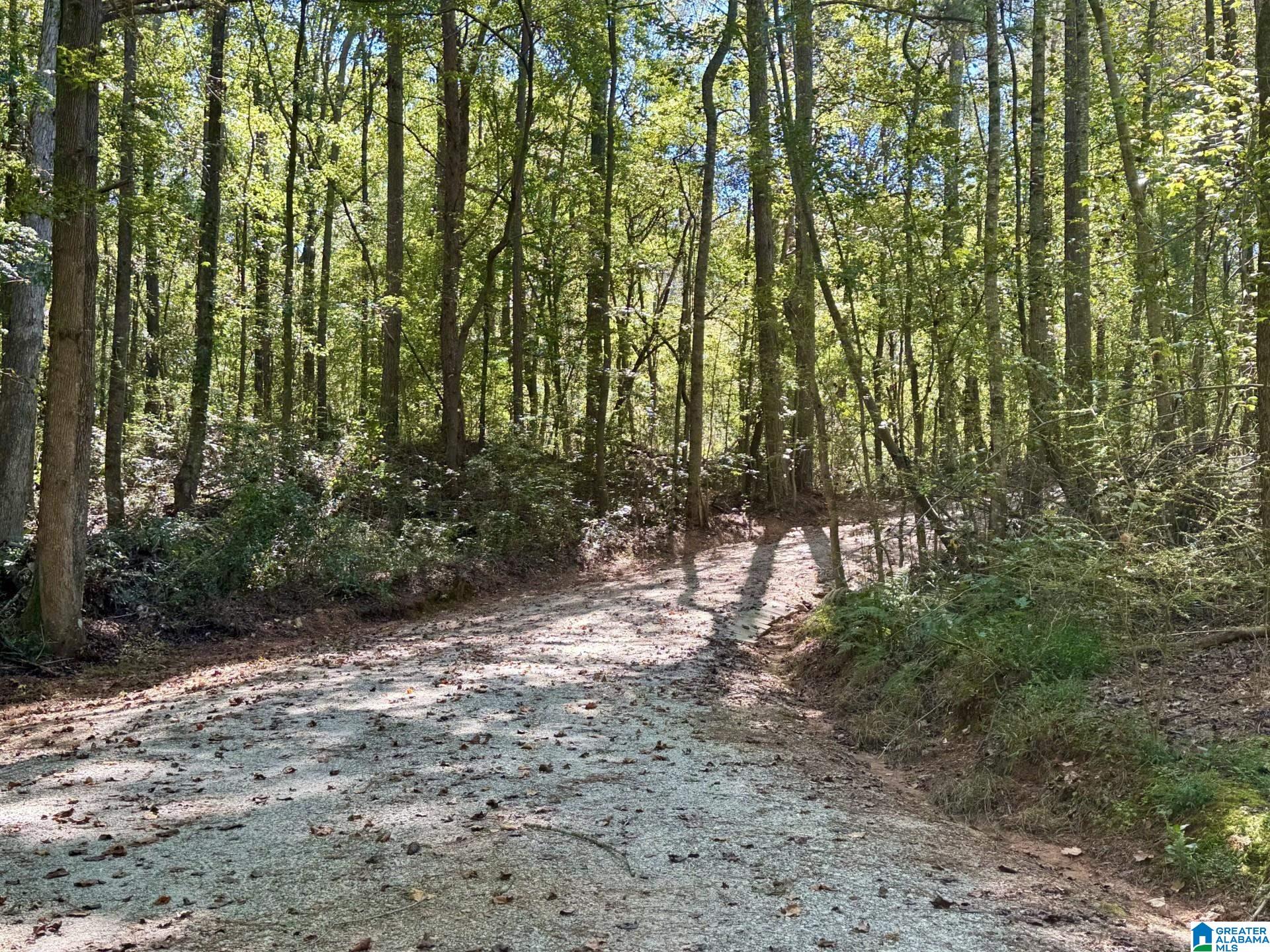 2371 Mt Moriah Road Delta, AL 36258 - Photo 25 of 28 Gallery Image 25