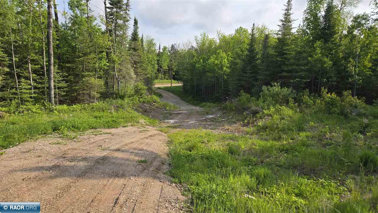 6466 Co Road Buyck, MN 55771 - Photo 9 of 24 Gallery Image 9