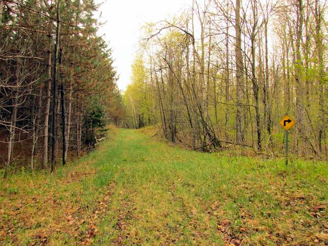 14-acres Starks Settlement Road Laona, WI 54541 - Photo 2 of 12 Gallery Image 2