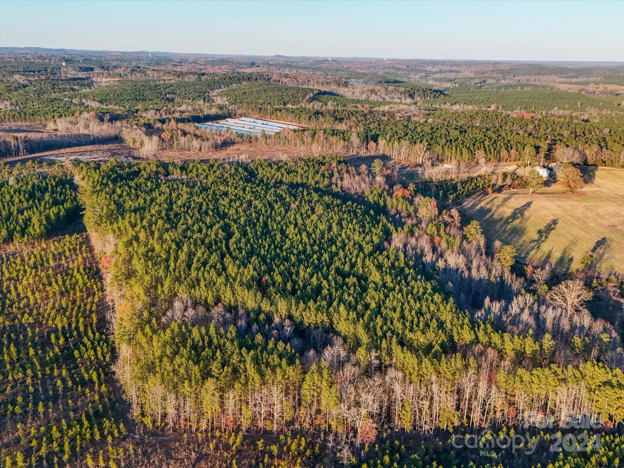 Vac Robedo Road Mount Gilead, NC 27306 - Photo 7 of 13 Gallery Image 7