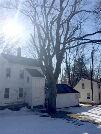 40 Spaulding Street Amherst, MA 01002 - Photo 3 of 21 Gallery Image 3