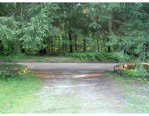 160 Dudleyville Road Leverett, MA 01054 - Photo 3 of 8 a backyard of a house with lots of green space