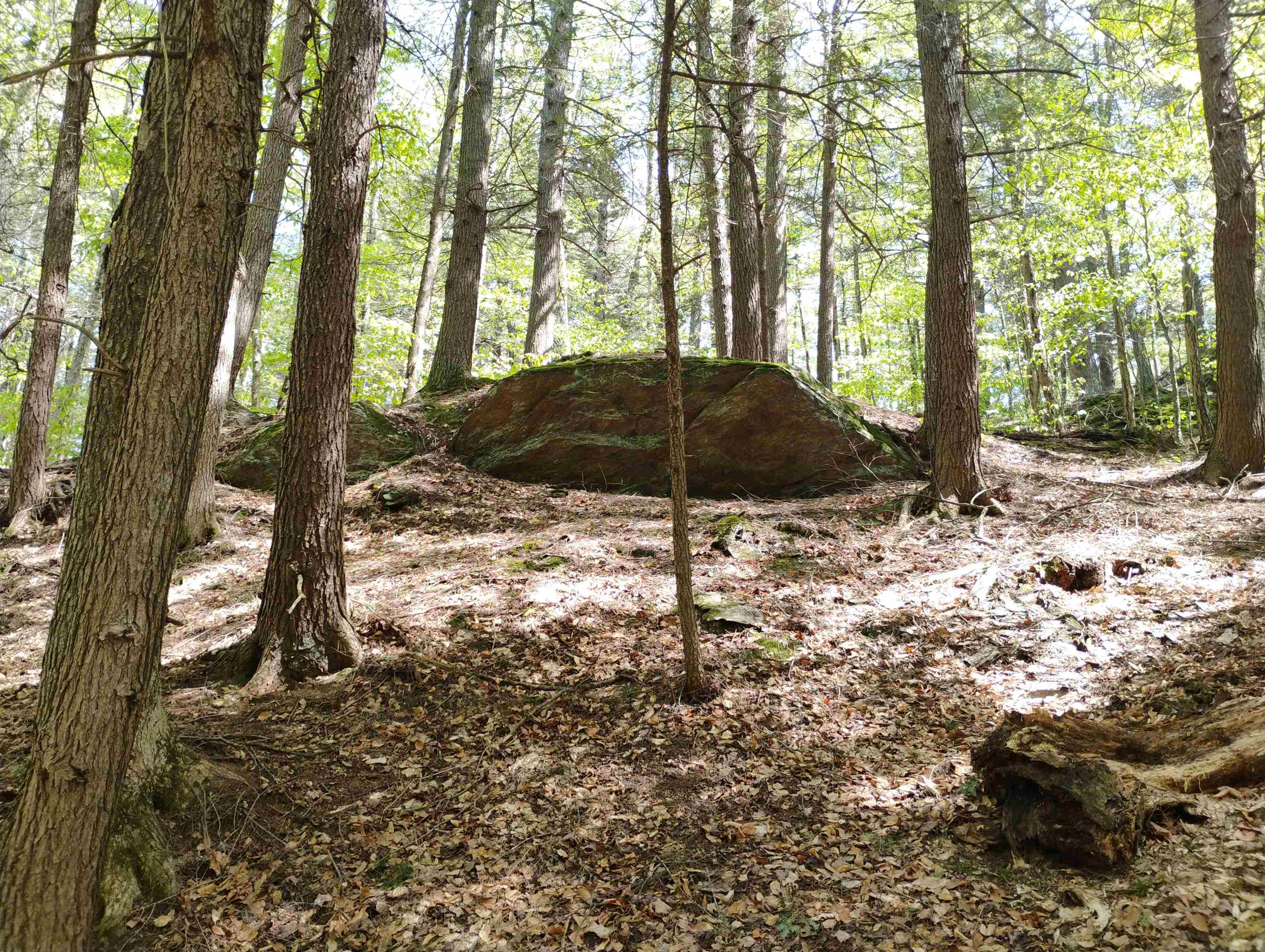 0 Taft Road Townshend, VT 05353 - Photo 11 of 20