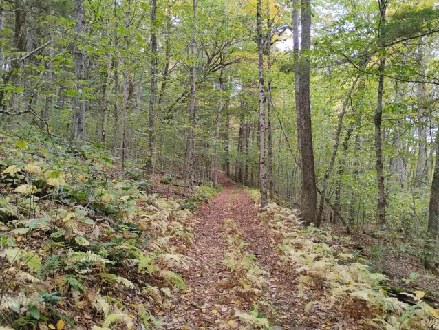 $475,000 | 0 Taft Road, Townshend, VT 05353