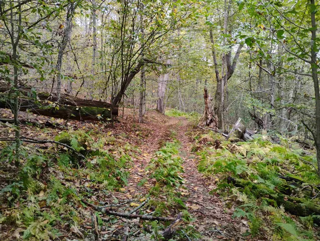 $475,000 | 0 Taft Road, Townshend, VT 05353