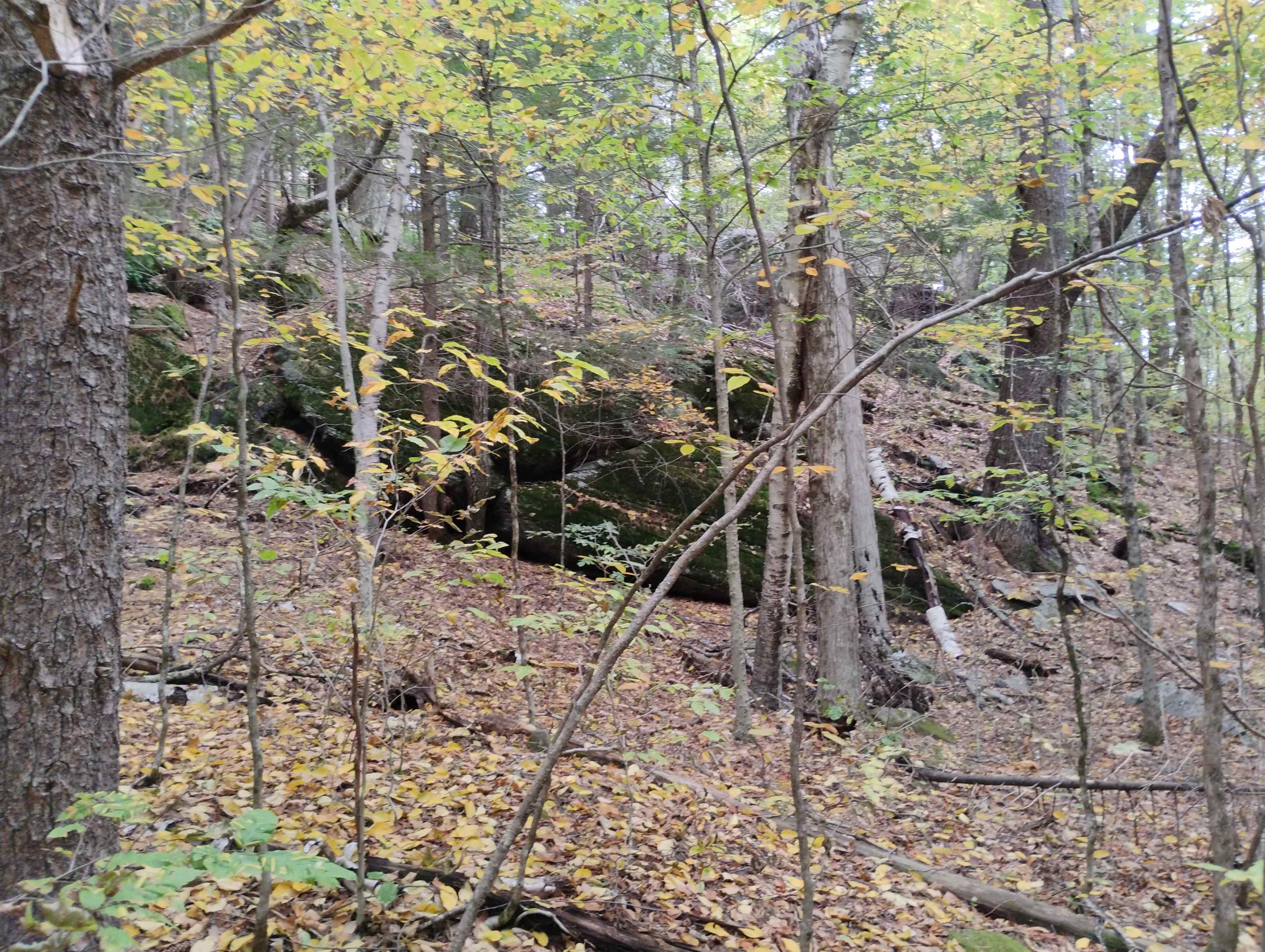 0 Taft Road Townshend, VT 05353 - Photo 14 of 20