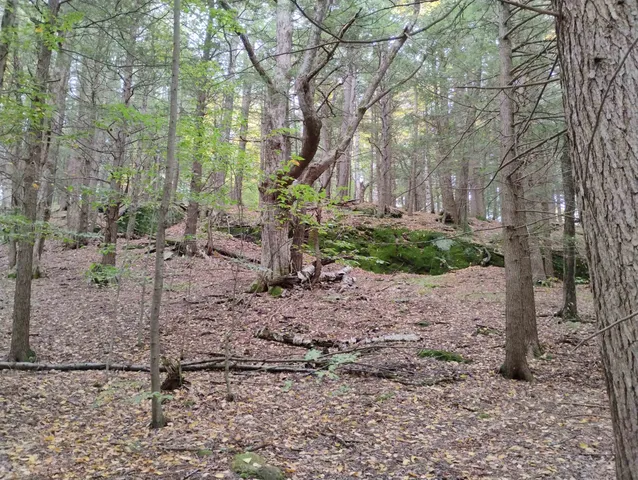 $475,000 | 0 Taft Road, Townshend, VT 05353