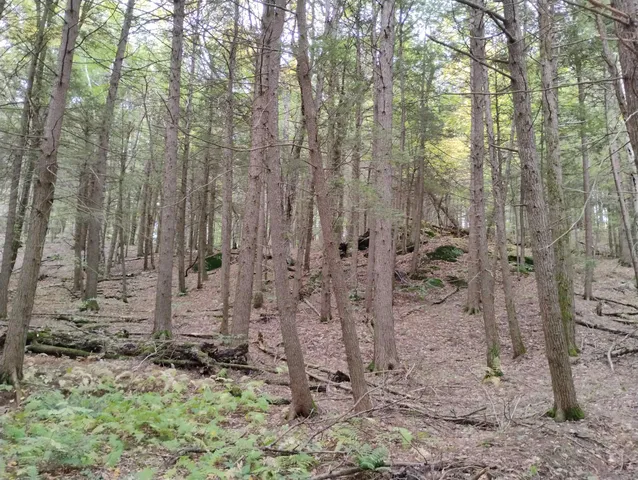 $475,000 | 0 Taft Road, Townshend, VT 05353