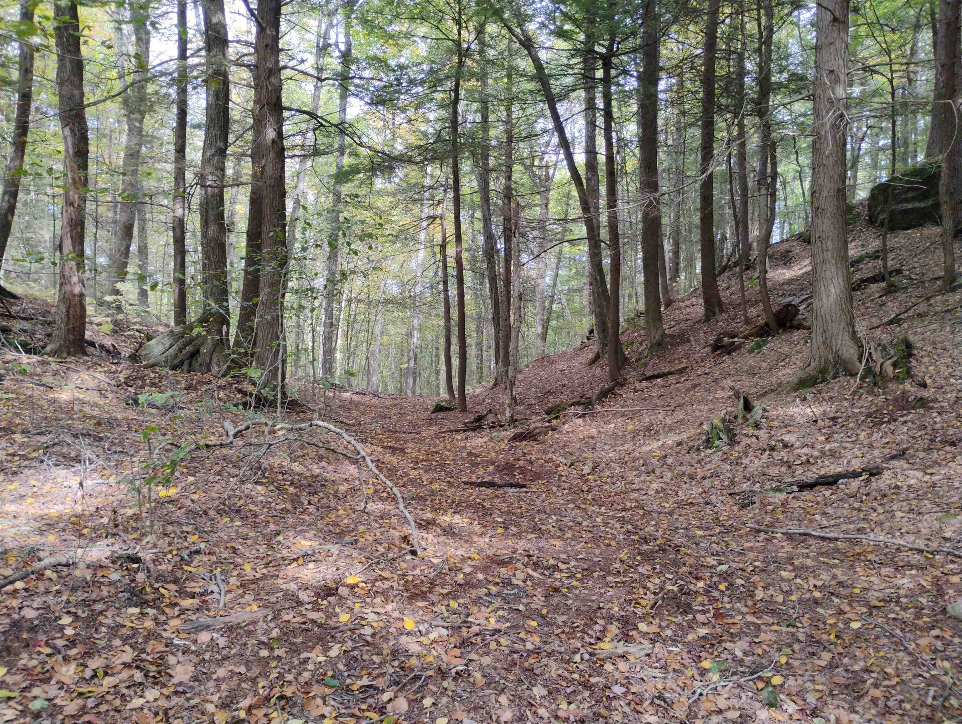 0 Taft Road Townshend, VT 05353 - Photo 17 of 20