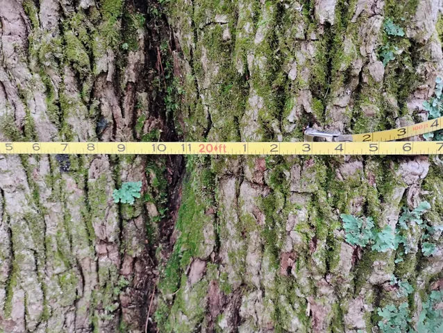 $475,000 | 0 Taft Road, Townshend, VT 05353