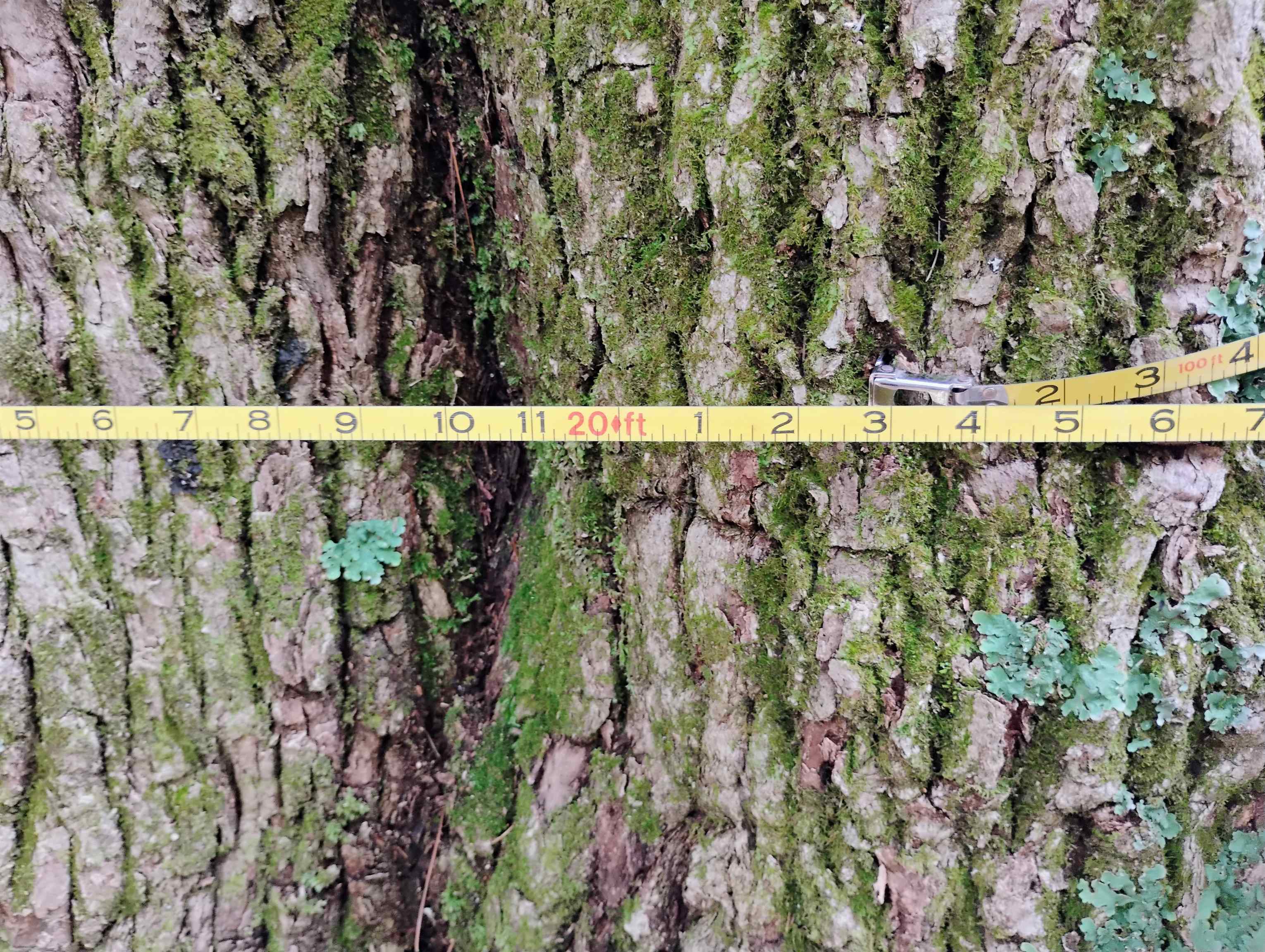 0 Taft Road Townshend, VT 05353 - Photo 3 of 20