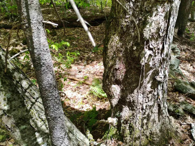 $475,000 | 0 Taft Road, Townshend, VT 05353