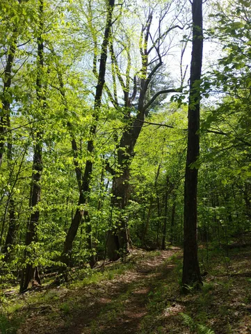 $475,000 | 0 Taft Road, Townshend, VT 05353