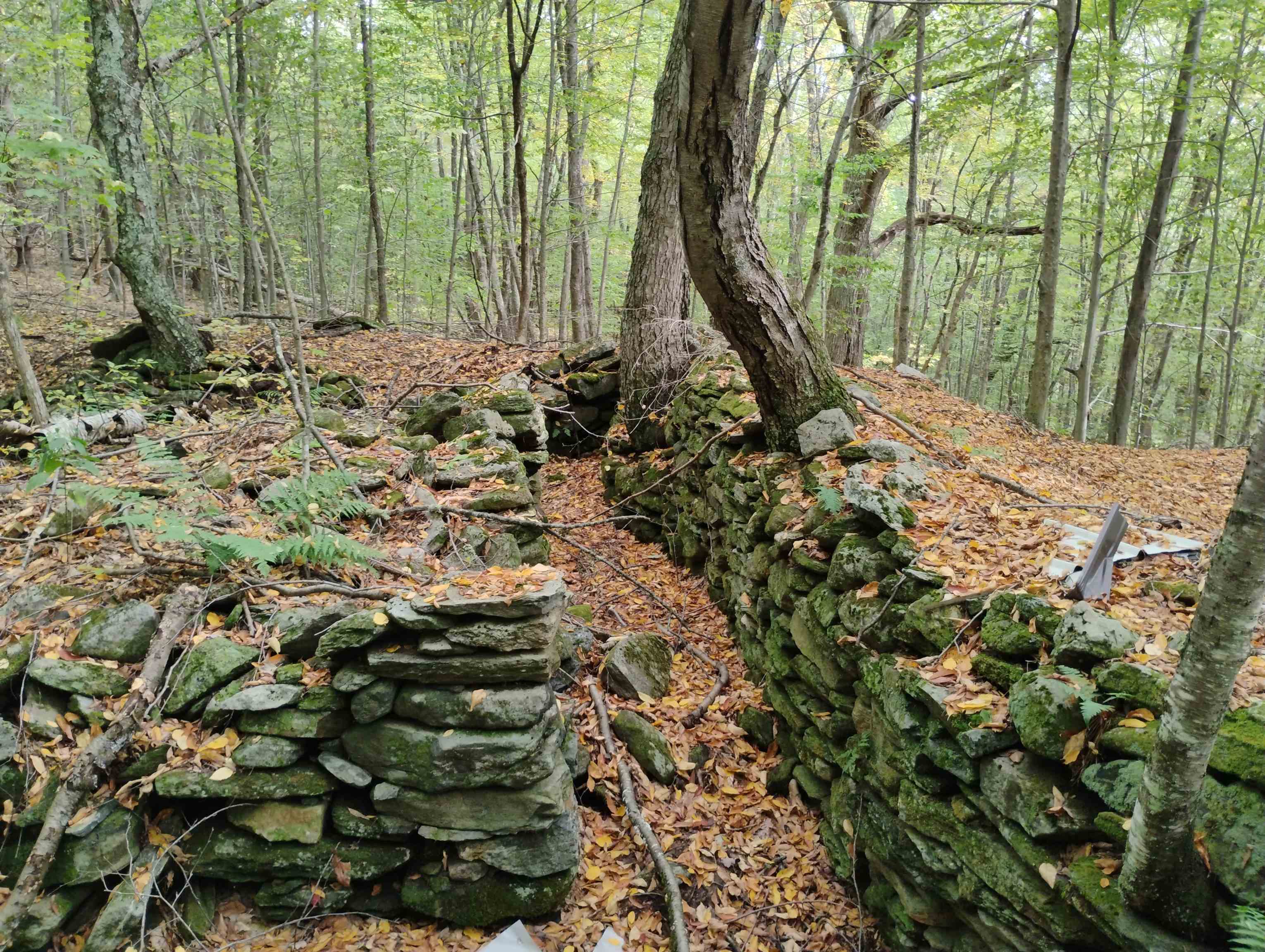 0 Taft Road Townshend, VT 05353 - Photo 9 of 20