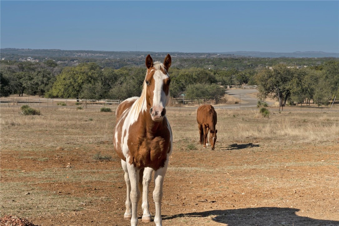 4909 Lookout Ridge Drive Marble Falls, TX 78654 - Photo 32 of 39