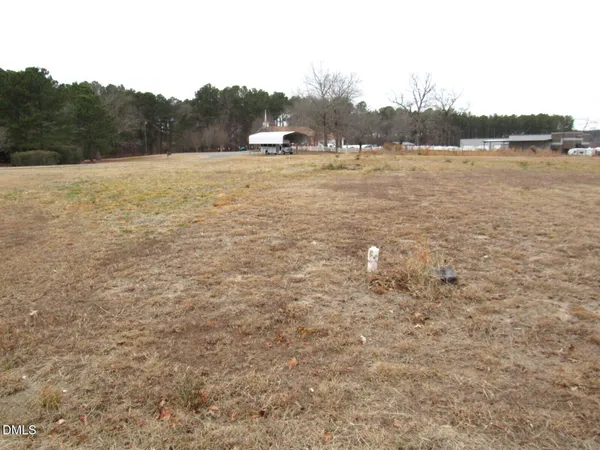 a view of a dry yard with trees