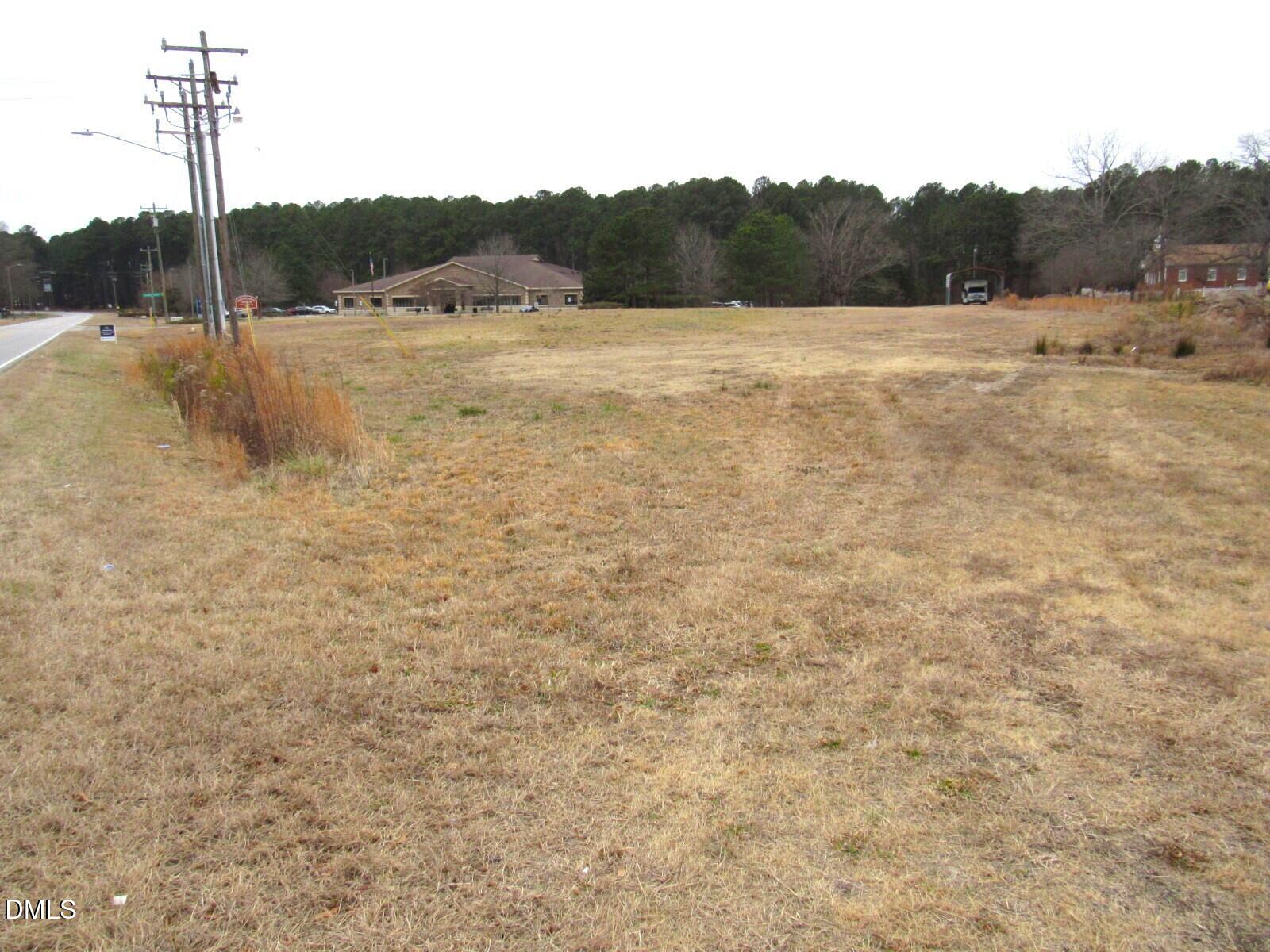1495 Concord Church Road Creedmoor, NC 27522 - Photo 5 of 11 a view of a dry yard with trees