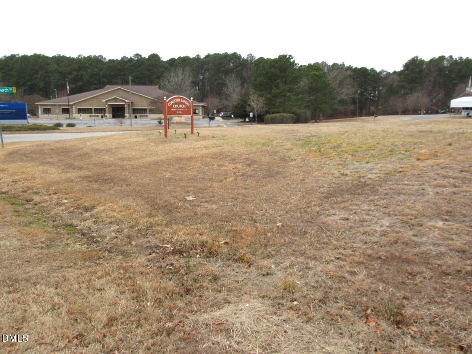 1495 Concord Church Road Creedmoor, NC 27522 - Photo 6 of 11 a view of a big yard with mountain view