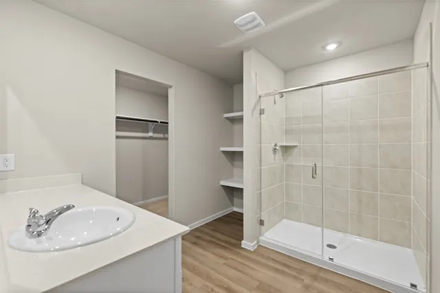 a bathroom with a shower a sink and a mirror