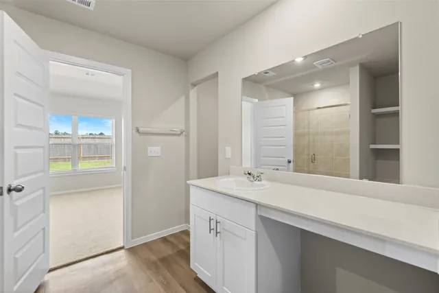 a bathroom with a sink and a mirror