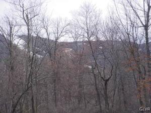 1345 Lower Smith Gap Road Kunkletown, PA 18058 - Photo 6 of 13 view of slopes