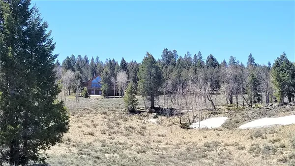 $1,000,000 | 7891 County Road 25, Powderhorn, CO 81243