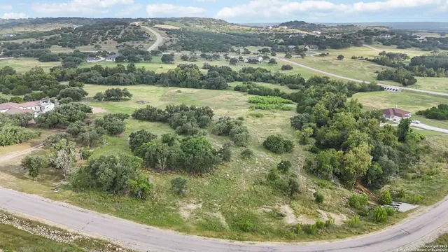 an aerial view of residential houses with outdoor space and trees